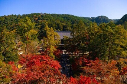 Peaceful Kyoto Walking Tour
