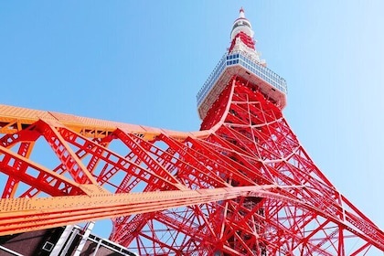 Tokyo 1-Day Bus Tour, hotel pick-up and drop-off, Japan Gray Line