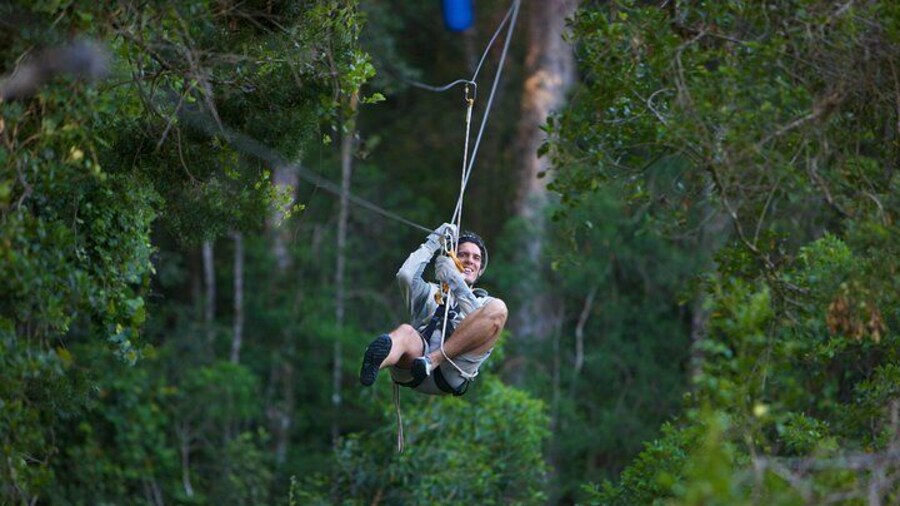 Tsitsikamma Canopy Tour