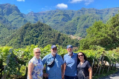 West Madeira 4x4 Adventure: Fanal Forest, Skywalk & Lava Pools
