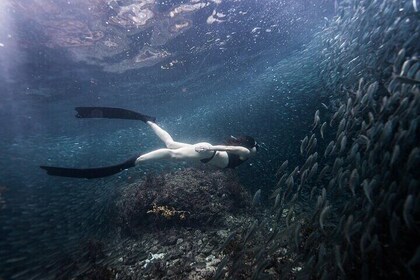 Discover Freediving One Amazing Day