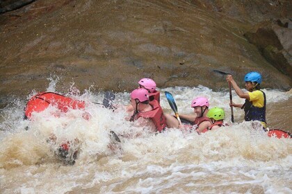 Ethical Elephant Visit and White Water Rafting in Chiang Mai