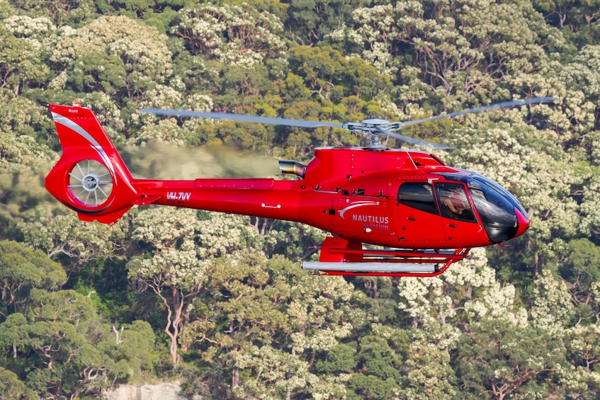 60 Minute Scenic Flight Litchfield National Park