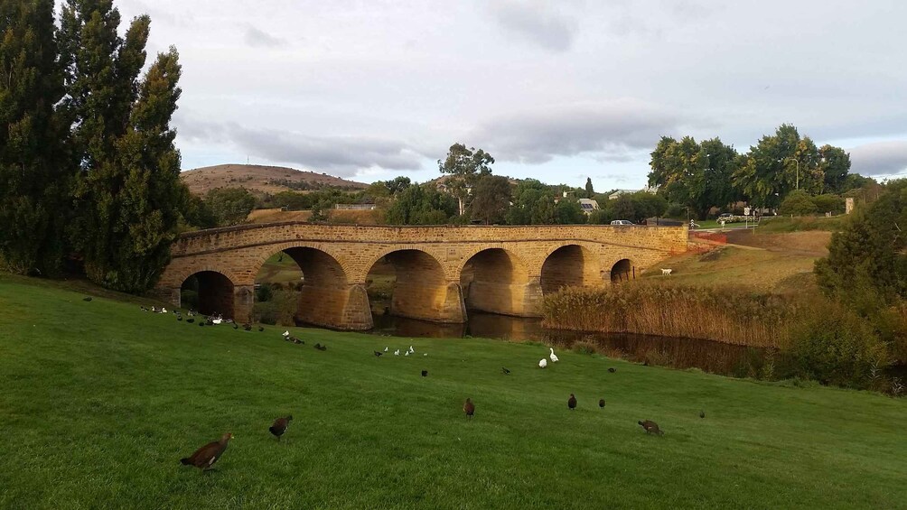 Picture 12 for Activity Hobart: Port Arthur, Richmond, and Tasman Peninsula Day Tour