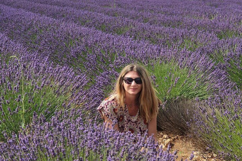 Lavender