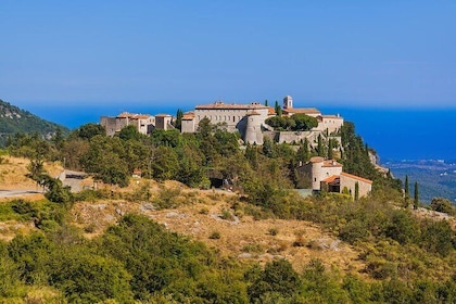 Private Full-day French Riviera and Hilltop Villages Tour