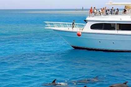 Majestic Dolphins Sea Adventure, Snorkeling, Lunch & Transfers