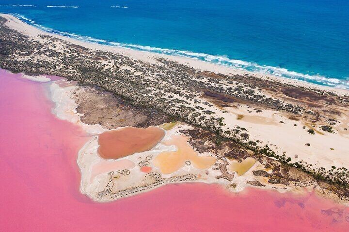 Pink lake
