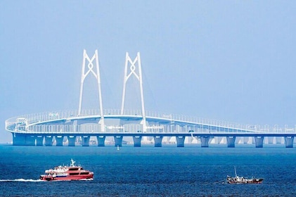 Hong Kong TO Macau Private Alphard Shuttle via HZMB Bridge