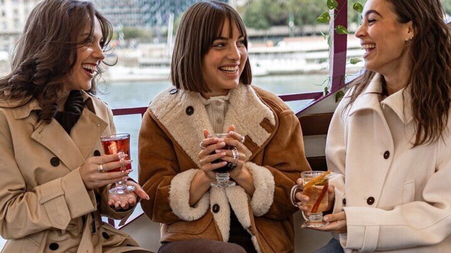 Unlimited Mulled Wine Cruise on the Danube