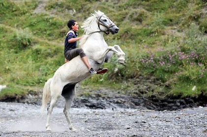 Horse Migration Exclusive Tour From Tusheti To Vashlovani