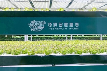 Full-Day Tour: Smart Agriculture Discovery & Daxi Journey
