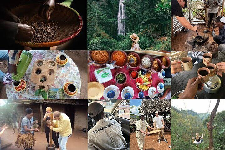 Materuni Fall & Chimbo Point Full experience:
Hike through lush greenery to the stunning 90M Waterfall, join Chagga hospitality in coffee-making from farm to cup, hot lunch averages.. at Chimbo Point