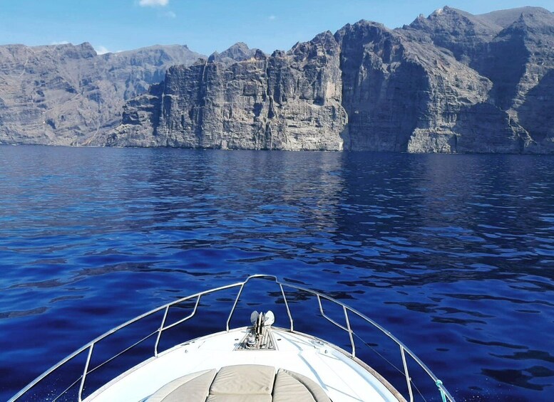 Picture 19 for Activity Tenerife: All-Inclusive Private Motor-Boat Tour
