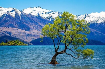 Wanaka Private Day Trip from Queenstown: TravelnGo