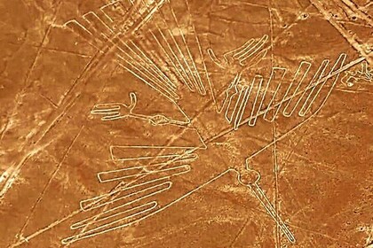 Nasca Lines - Oasis Huacachina - Buggy Tour-Basllestas Island 2D