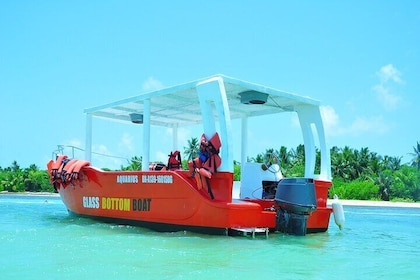 Glass-bottom boat tour to Punta Cana