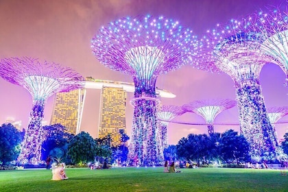 Singapore River Cruise, Night Garden Rhapsody, Spectra Light Tour