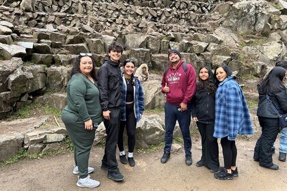 Shuttle Van Tour, Snow Monkey Park, to-and-from Tokyo