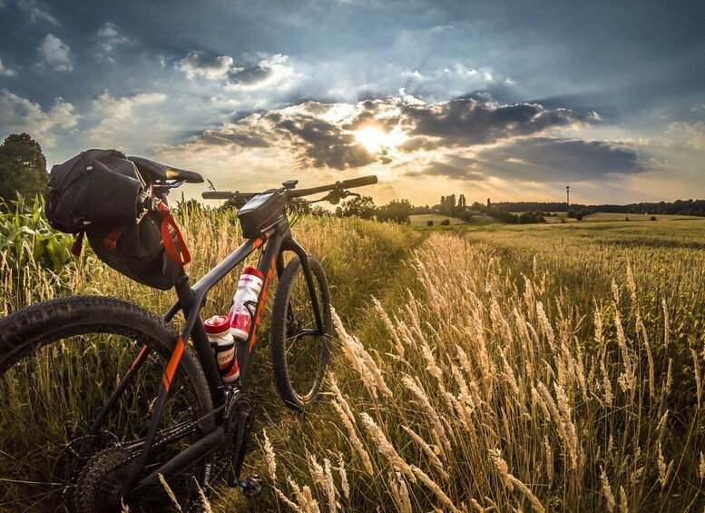 Picture 2 for Activity Corfu: Easy Bicycle Tour in the Countryside with Swim Stop