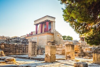 Private Half-Day Tour: Knossos, Winery, Olive Oil & Village Charm