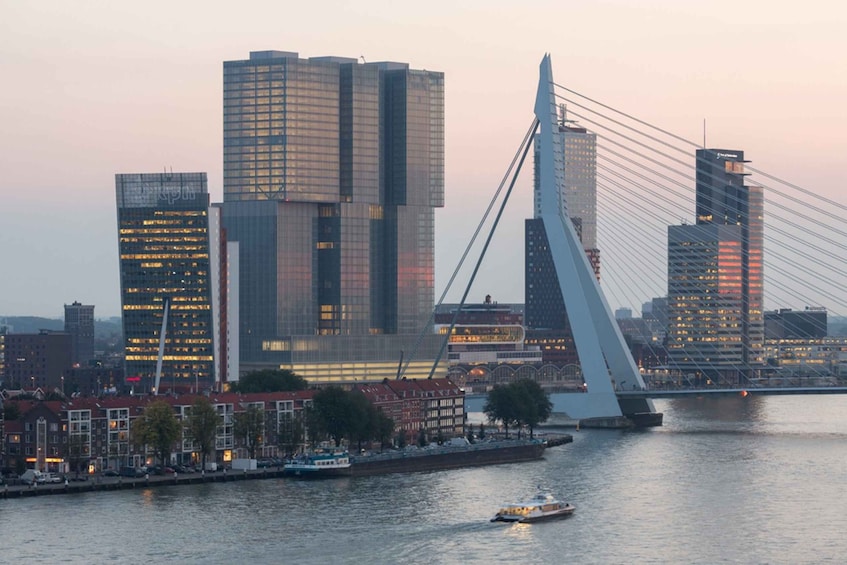 Rotterdam: Wilhelminapier Rooftop View and Architecture Tour