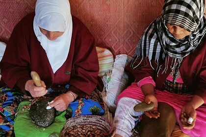 ‏ Agadir Sightseeing Tour: Marina, Kasbah & More