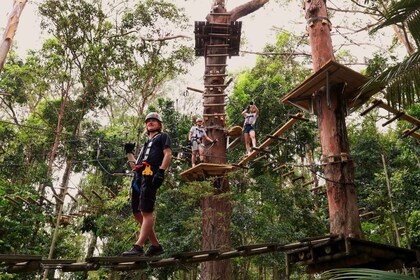 库伦宾野生动物保护区（Currumbin Wildlife Sanctuary）：参赛和树顶挑战赛