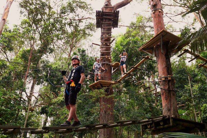 Currumbin Wildlife Sanctuary: Entry & TreeTops Challenge