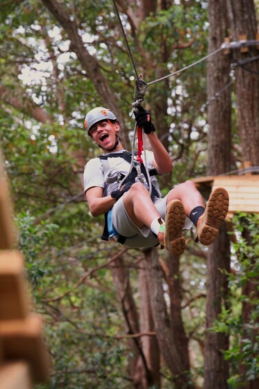 Picture 2 for Activity Currumbin Wildlife Sanctuary: Entry & TreeTops Challenge