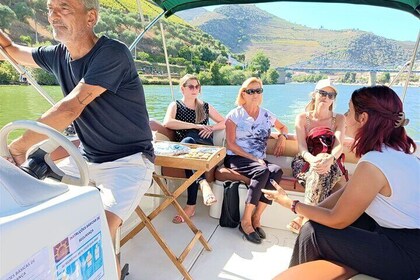 From Porto: Douro Valley, 2 Wineries, Lunch & Private Boat Trip