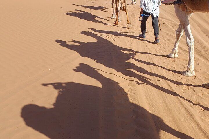 5 Days Authentic Travel in the Desert Atlas Kasbah Culture