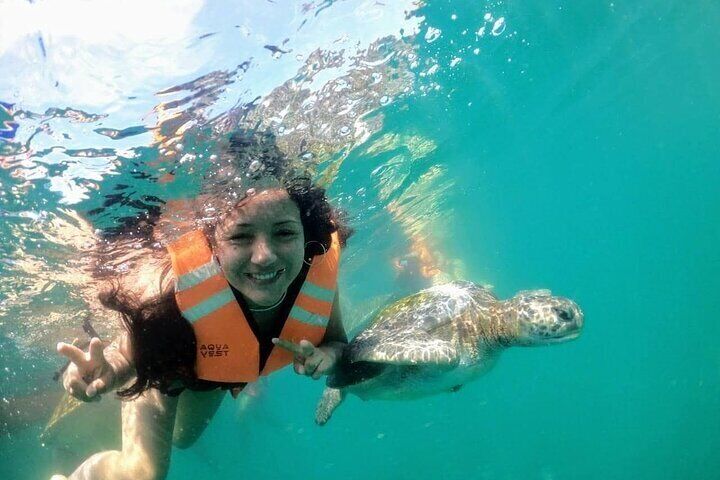 Full Day Swimming with Sea Turtles and Coastal Tour from Piura