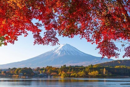 Mt. Fuji Autumn leaves And Heritage Village Trip Tokyo