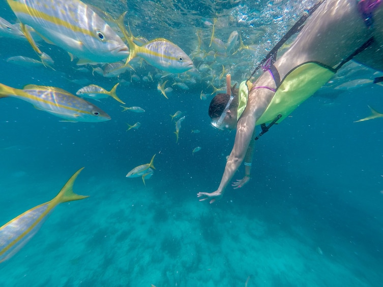 catamaran sail and snorkel key west