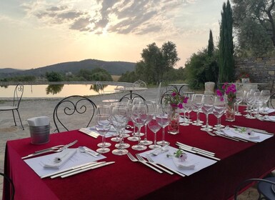 Tour dei vigneti di Bodrum con cena e abbinamento di vini