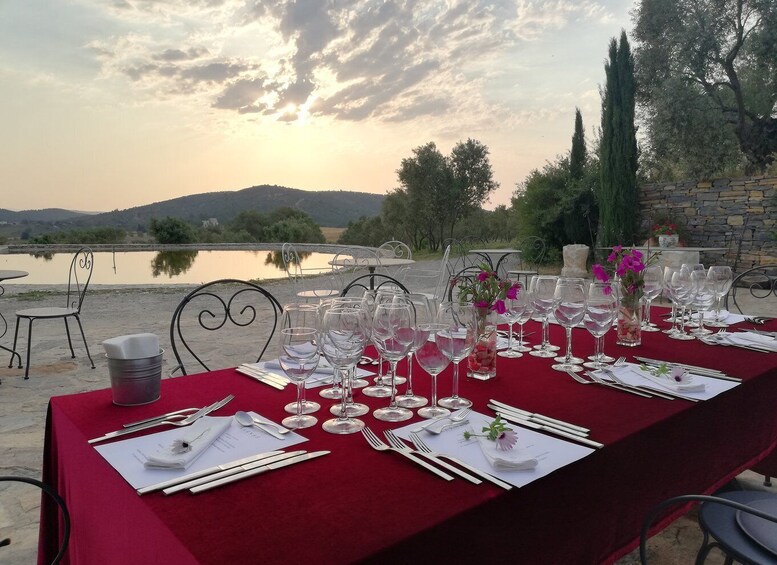 Bodrum Vineyard Tour with Dinner and Wine Pairing