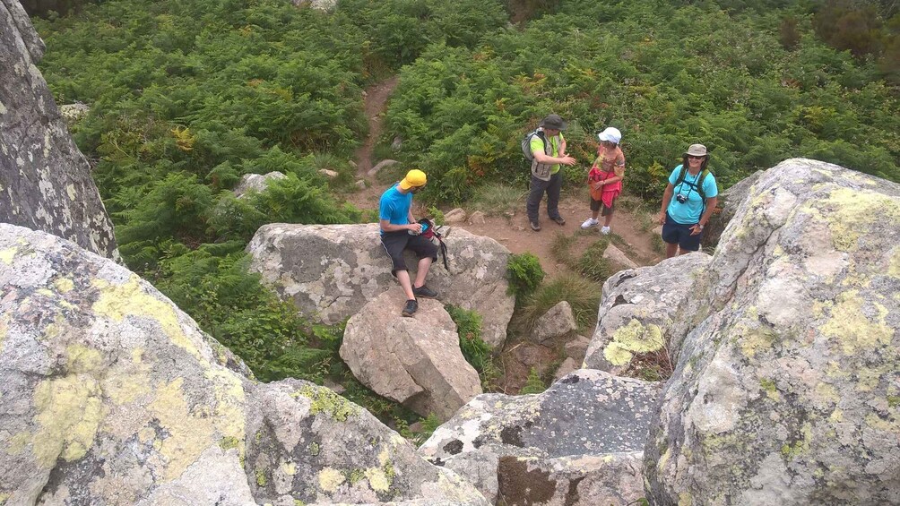 Picture 3 for Activity Sintra: Walking Tour with Palace, Castle, and Old Town Visit