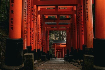 Kyoto: Top 3 Highlights Tour — Fushimi Inari, Nijo & Kinkaku-ji