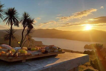 Sun, Stars, Telescopes and Platter Experience in Akaroa