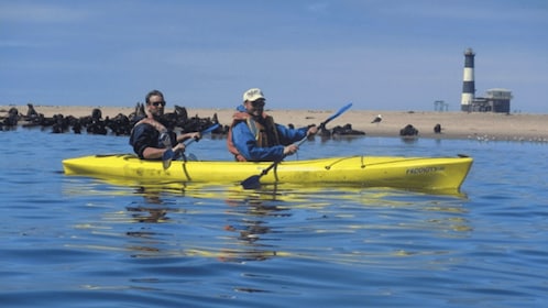 Walvis Bay: Pelican Point Kayaking Tour