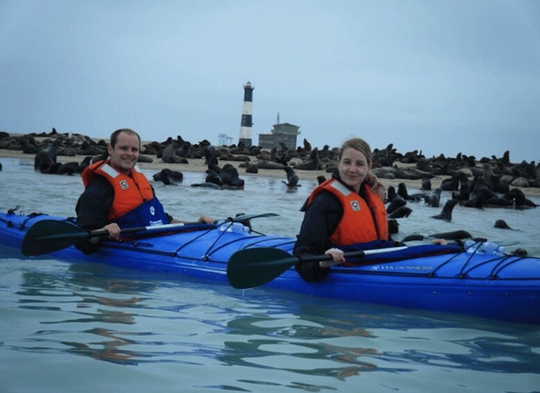 Picture 2 for Activity Walvis Bay: Pelican Point Kayaking Tour