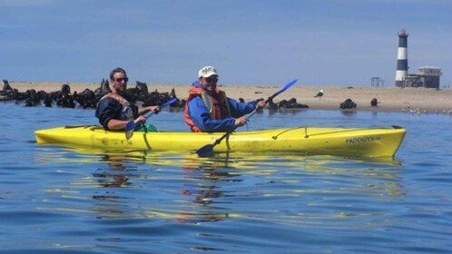 Walvis Bay: Pelican Point Kayaking Tour