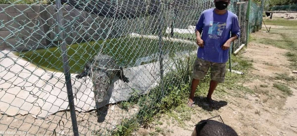 Picture 7 for Activity Baby Turtle Release, Tres Palos Lagoon & Crocodile Farm