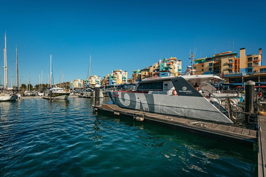 Picture 4 for Activity Algarve 3-Hour Caves and Coastline Boat Trip