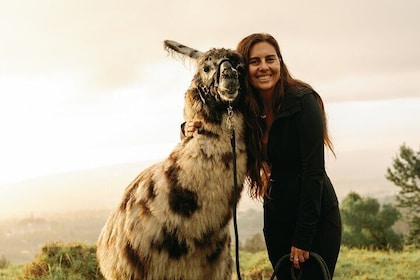 Llama Sunset Hike