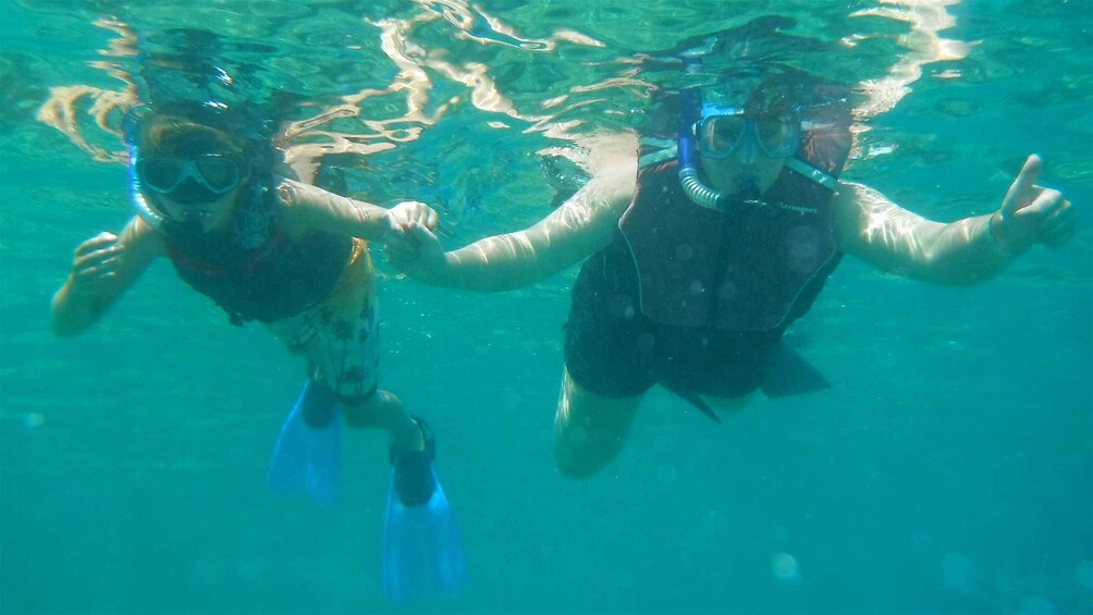 Picture 6 for Activity Los Cabos: The Arch and Lover's Beach Kayaking + Snorkeling
