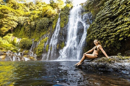 Jungle Trekking Day Tour