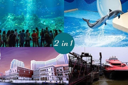E-Ticket Combo: Hong Kong Ocean Park plus 2-Way HKG to Macau Turbojet Ticke...