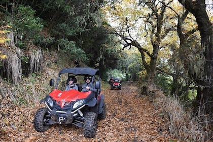 Buggy Tour The Volcanoes 5 Hours in La Palma